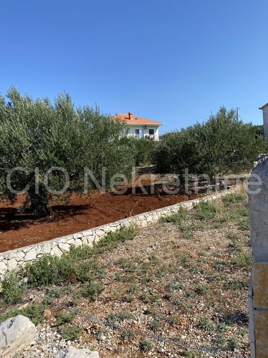 Marina, vendesi casa indipendente con interessante terreno edificabile