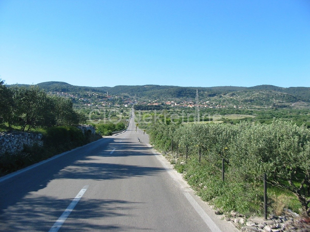 Brač, Nerežišća, terreno agricolo, vendita