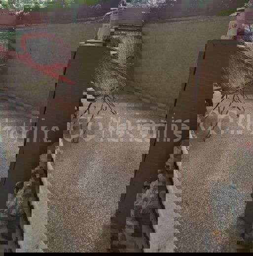 Spalato, Bačvice, appartamento con una camera da letto, in vendita