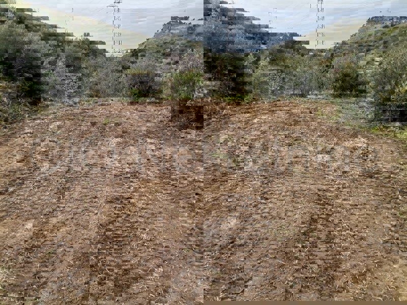 Klis, terreno agricolo in vendita