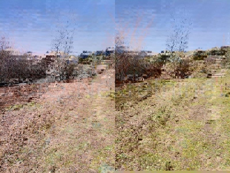 Klis, terreno agricolo in vendita