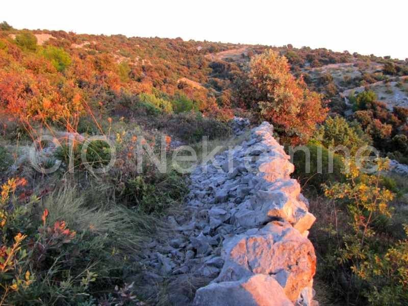 Sevid, terreni agricoli, vendita