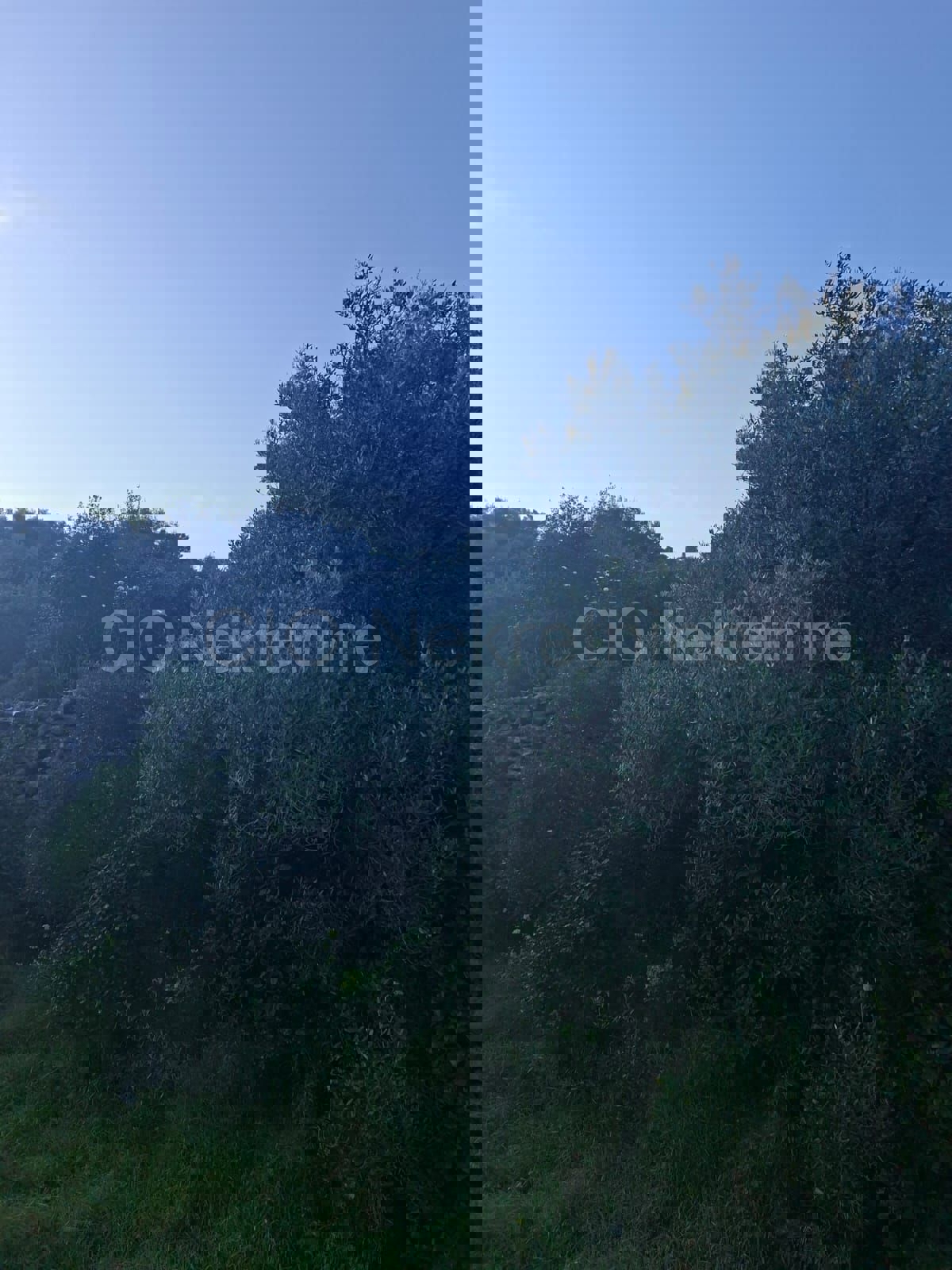 Slatine, terreno agricolo di 3.276 m2, in prima fila dal mare