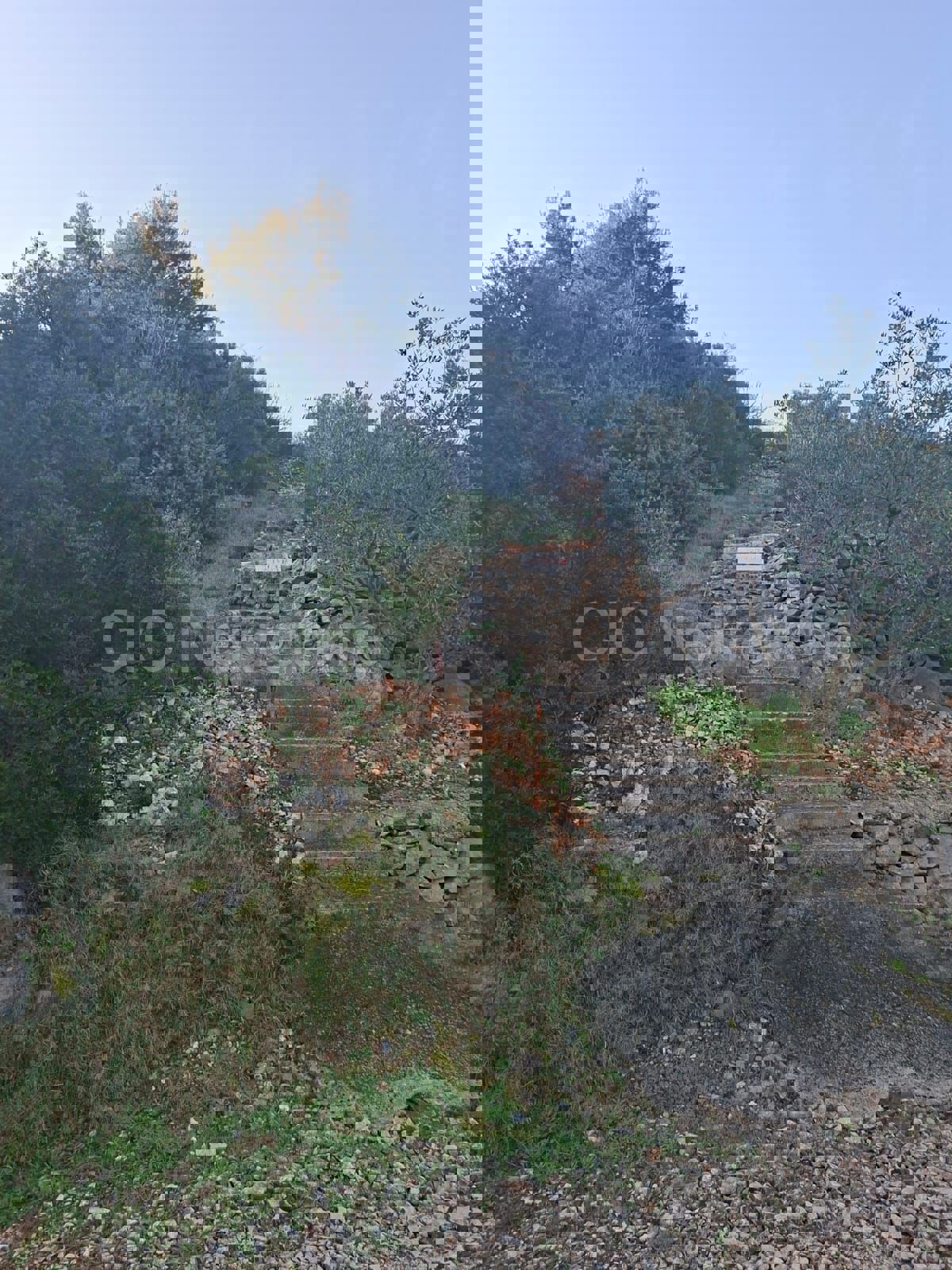 Slatine, terreno agricolo di 3.276 m2, in prima fila dal mare