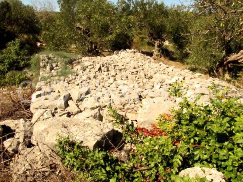 Marina, terreni agricoli, la vendita