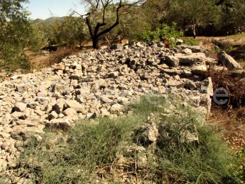 Marina, terreni agricoli, la vendita