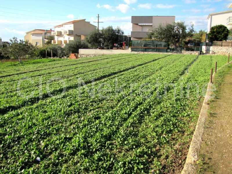 Podstrana, terreno edificabile, vendita