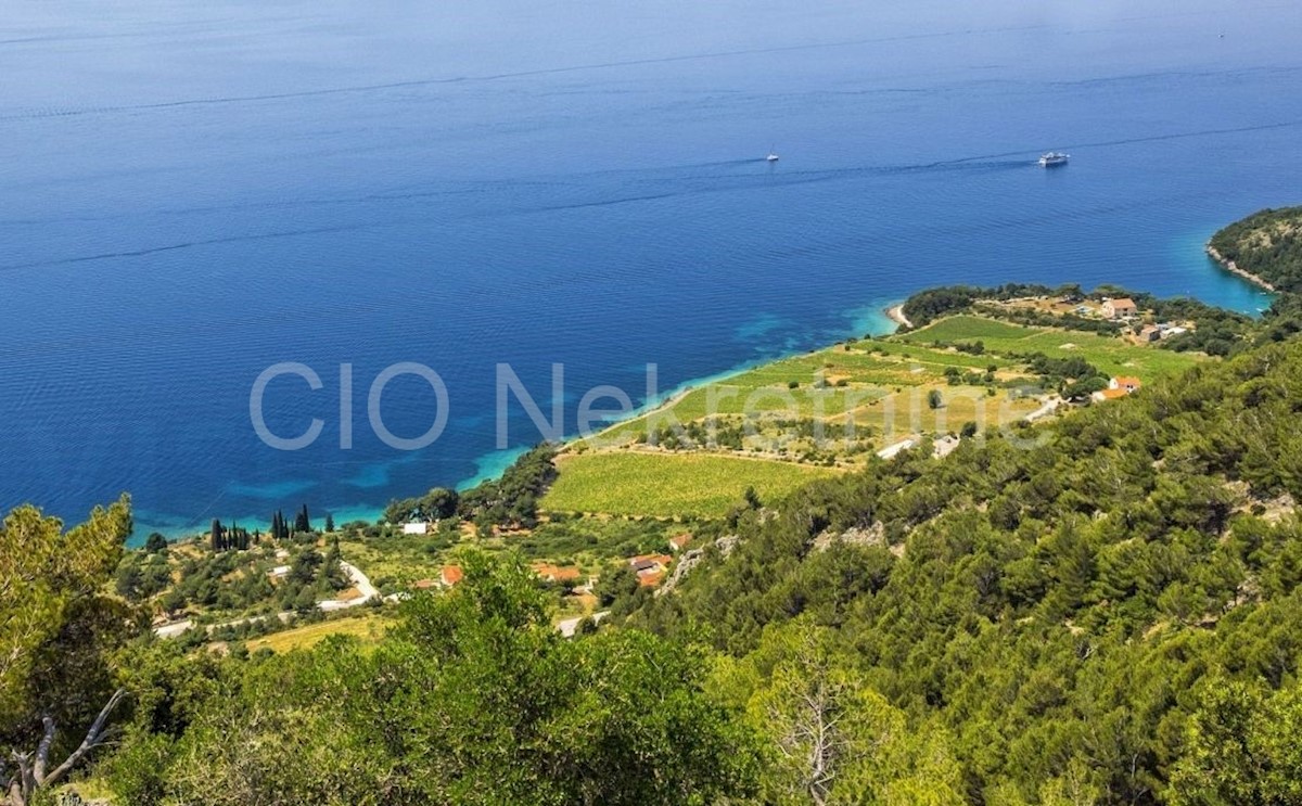 Brač, Nerežišća, Murvica, terreno agricolo, vendita