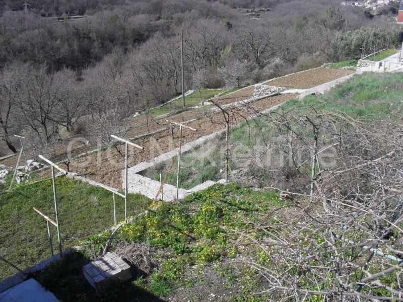 Omiš, Zvečanje, Građevisko zemljište, Sale