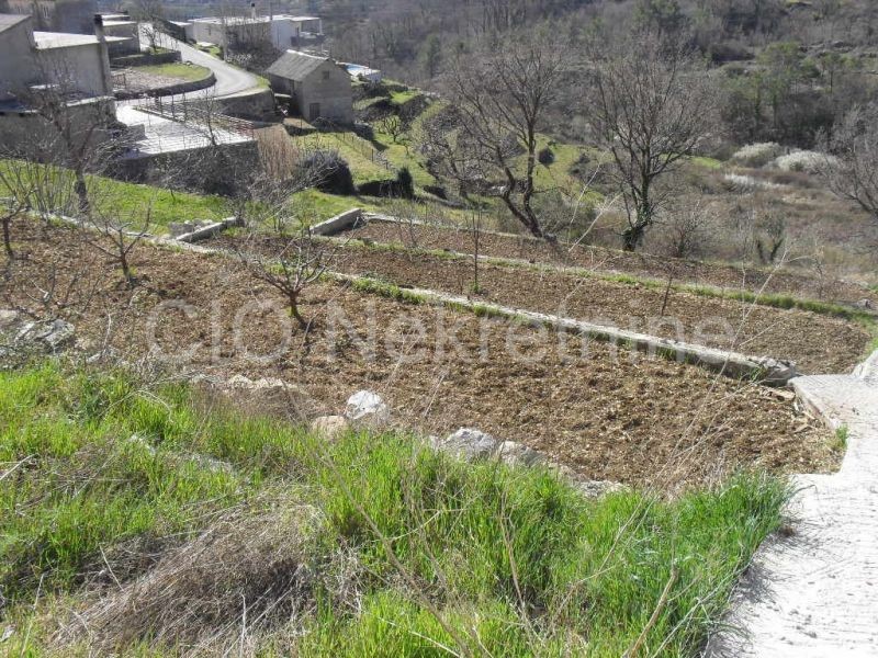 Omiš, Zvečanje, Građevisko zemljište, Sale