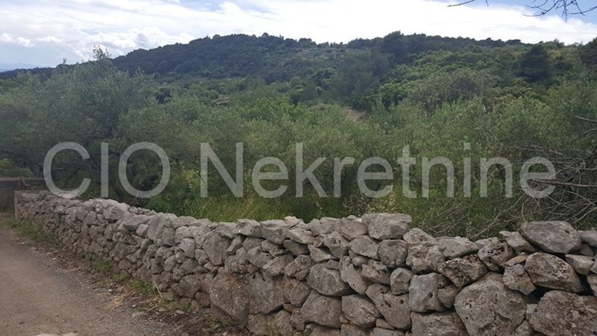 Brač, Selca, terreno edificabile 1.100 m2, vendita