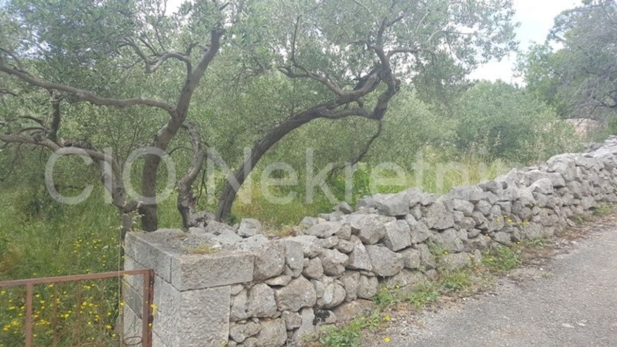 Brač, Selca, terreno edificabile 1.100 m2, vendita