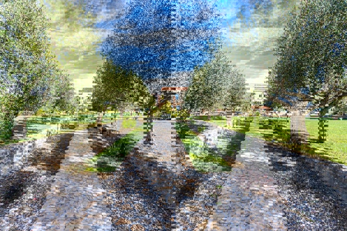 Zara, Murvica, villa in pietra con piscina e campo da tennis, in vendita