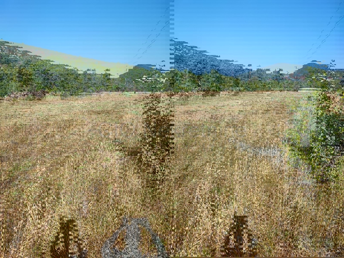 Klis, Brštanovo, terreno edificabile 6000 m2, in vendita