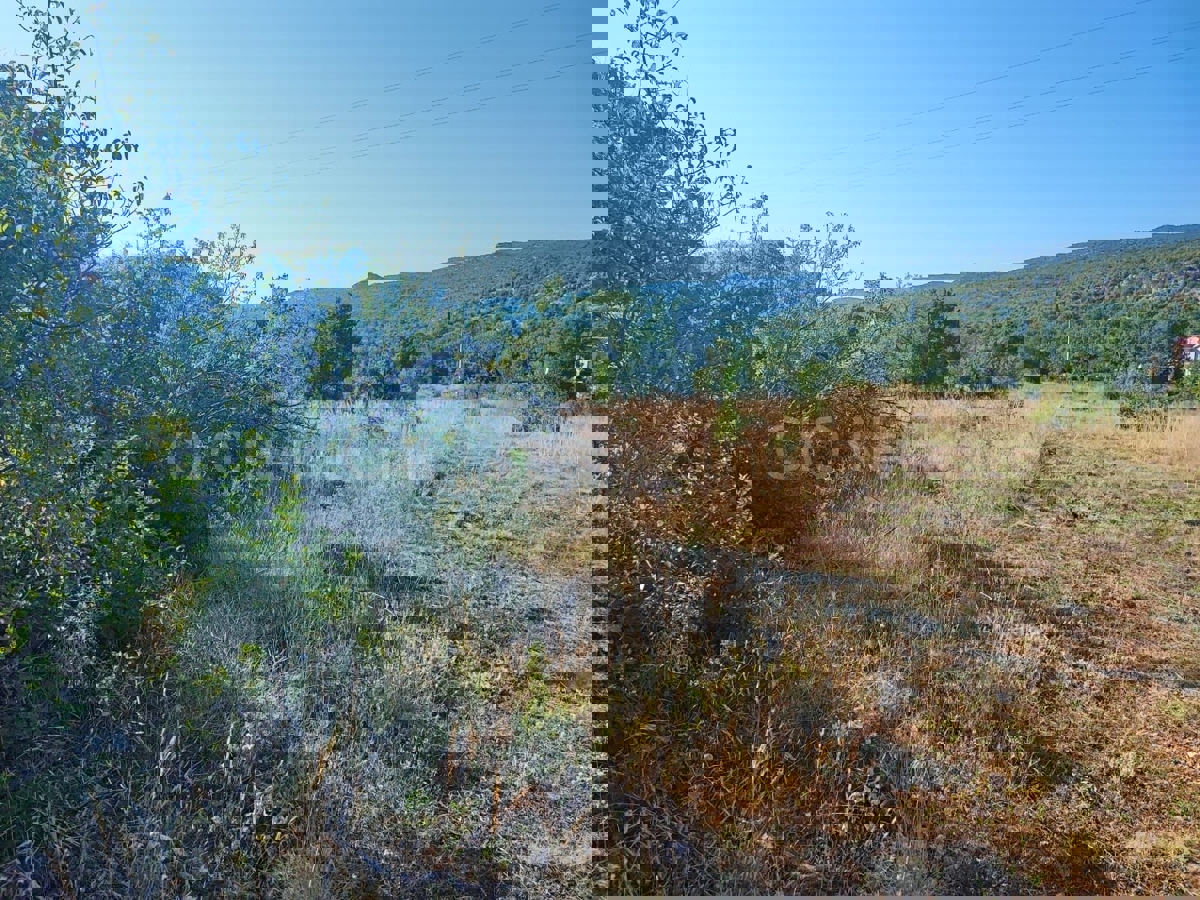 Klis, Brštanovo, terreno edificabile 6000 m2, in vendita