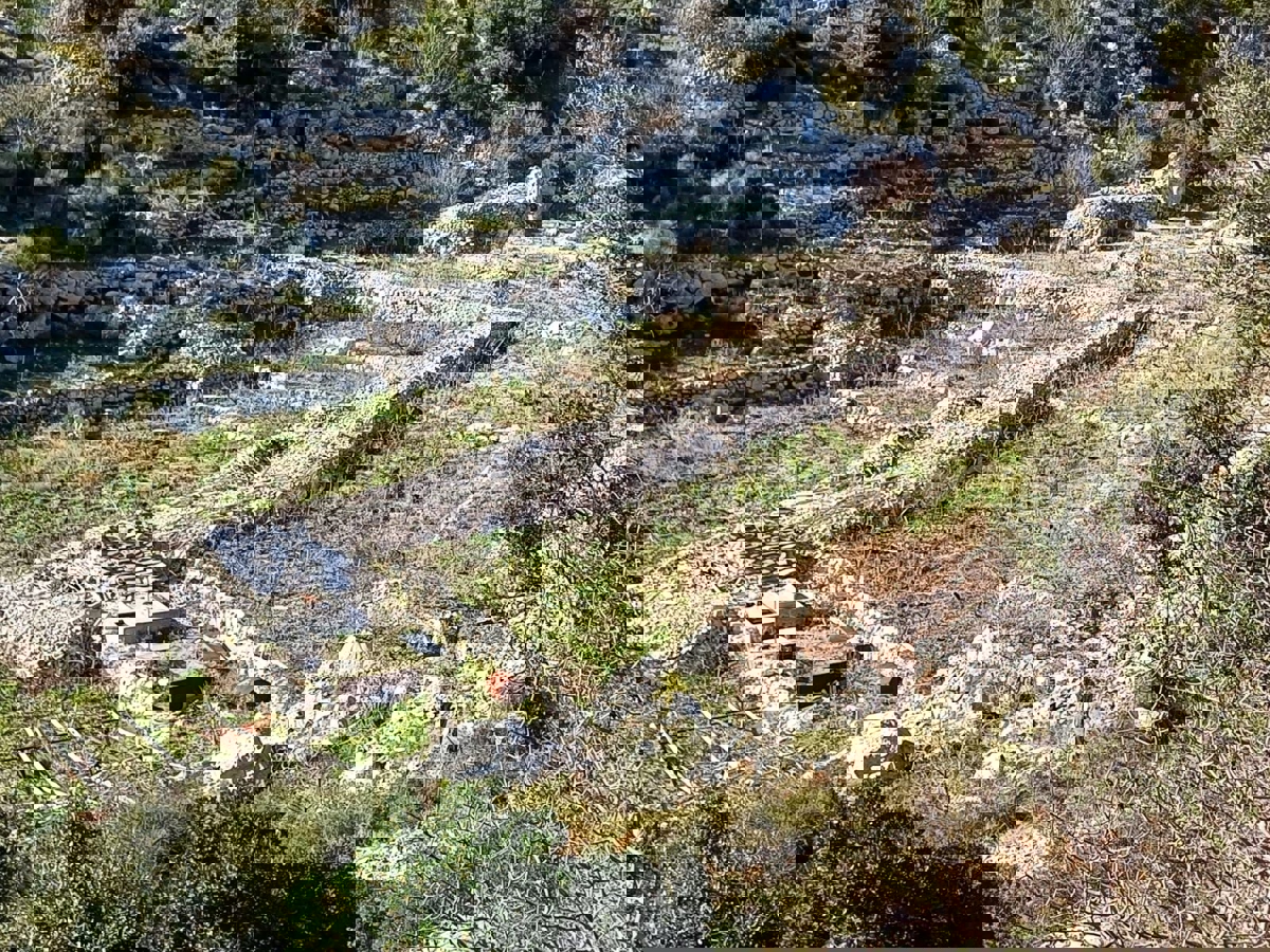 Brač, Bol, Terreno agricolo, in vendita