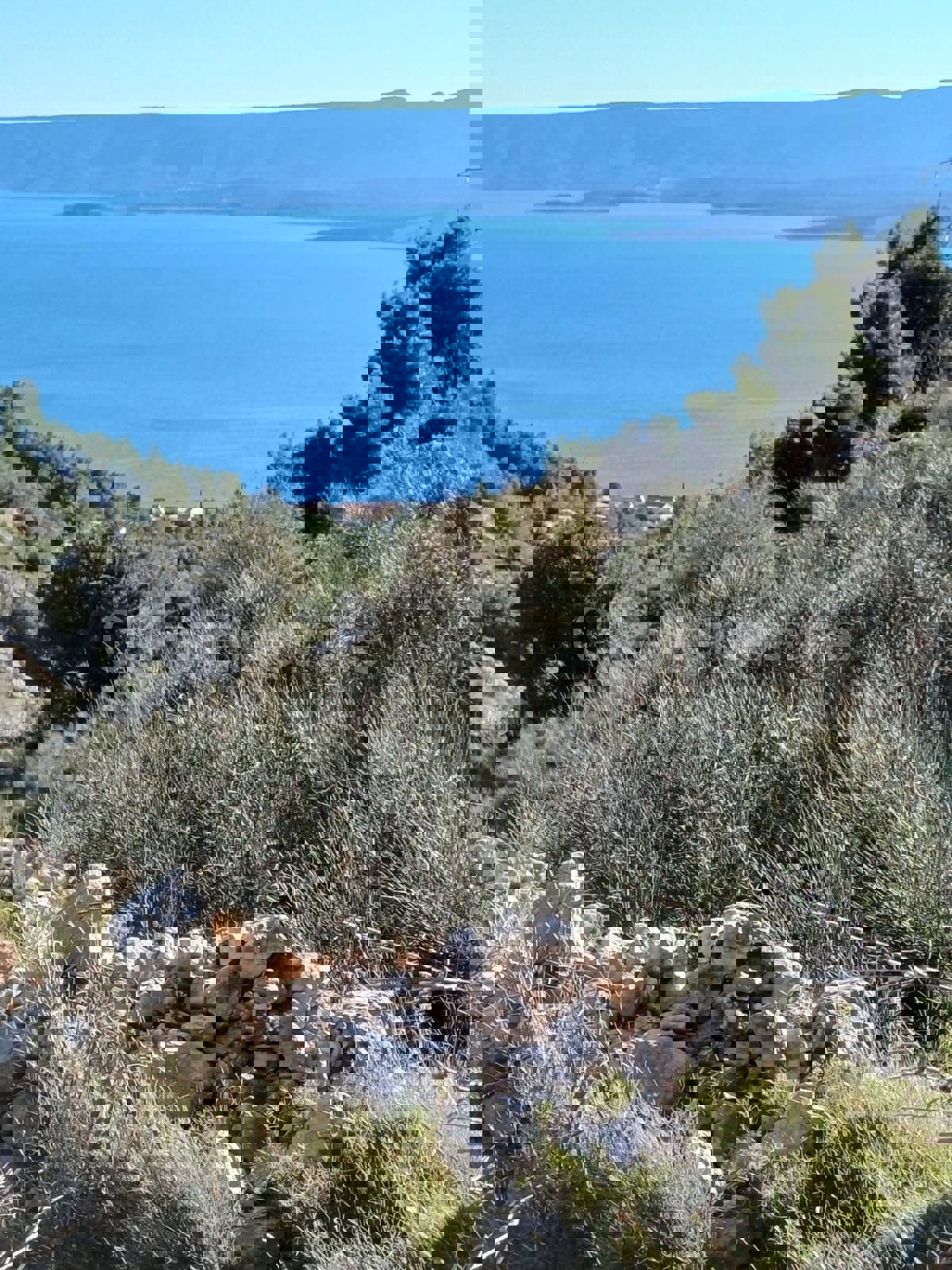 Brač, Bol, Terreno agricolo, in vendita