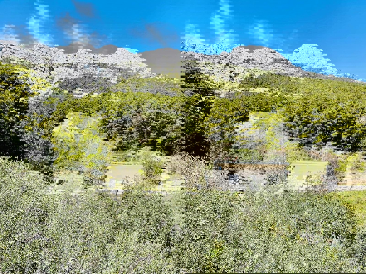 Omis, Marusici, appartamento in vendita