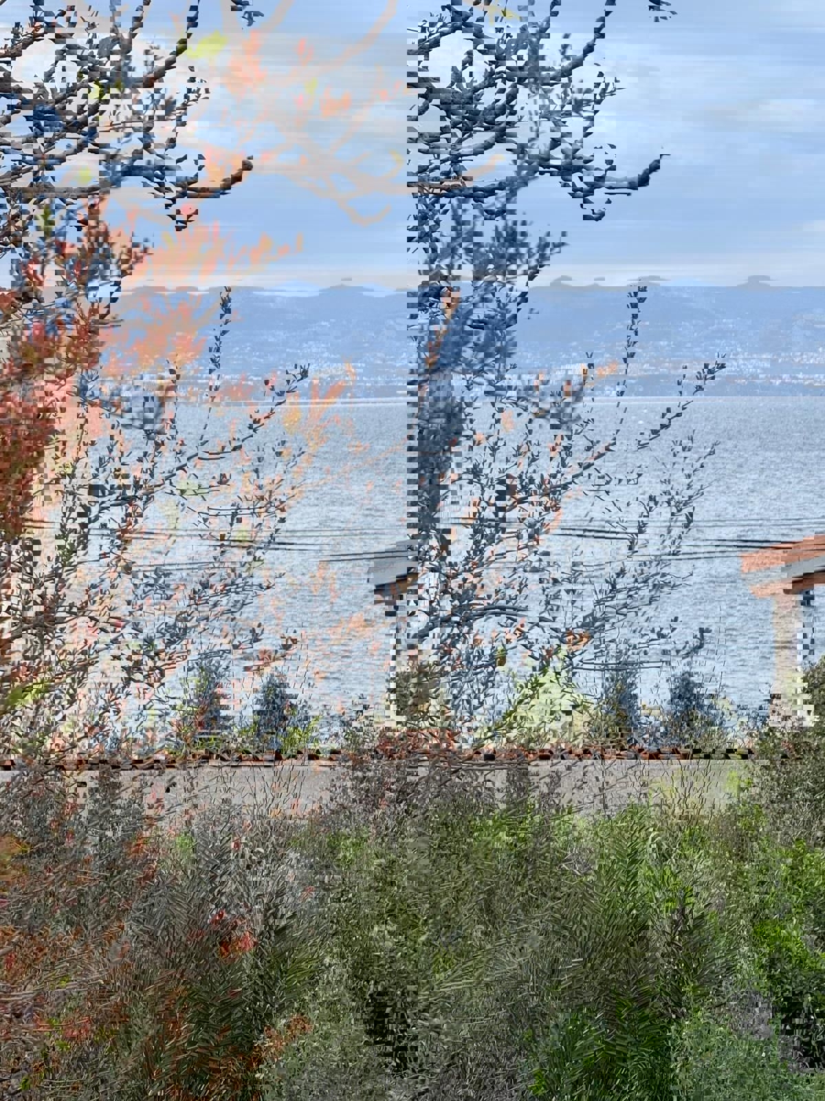 Brač, Sutivan, casa in pietra, in vendita