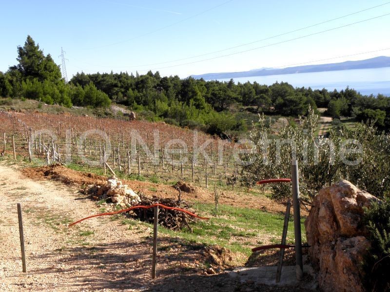 Brac, Bol, appezzamento di terreno prima fila al mare, vendita