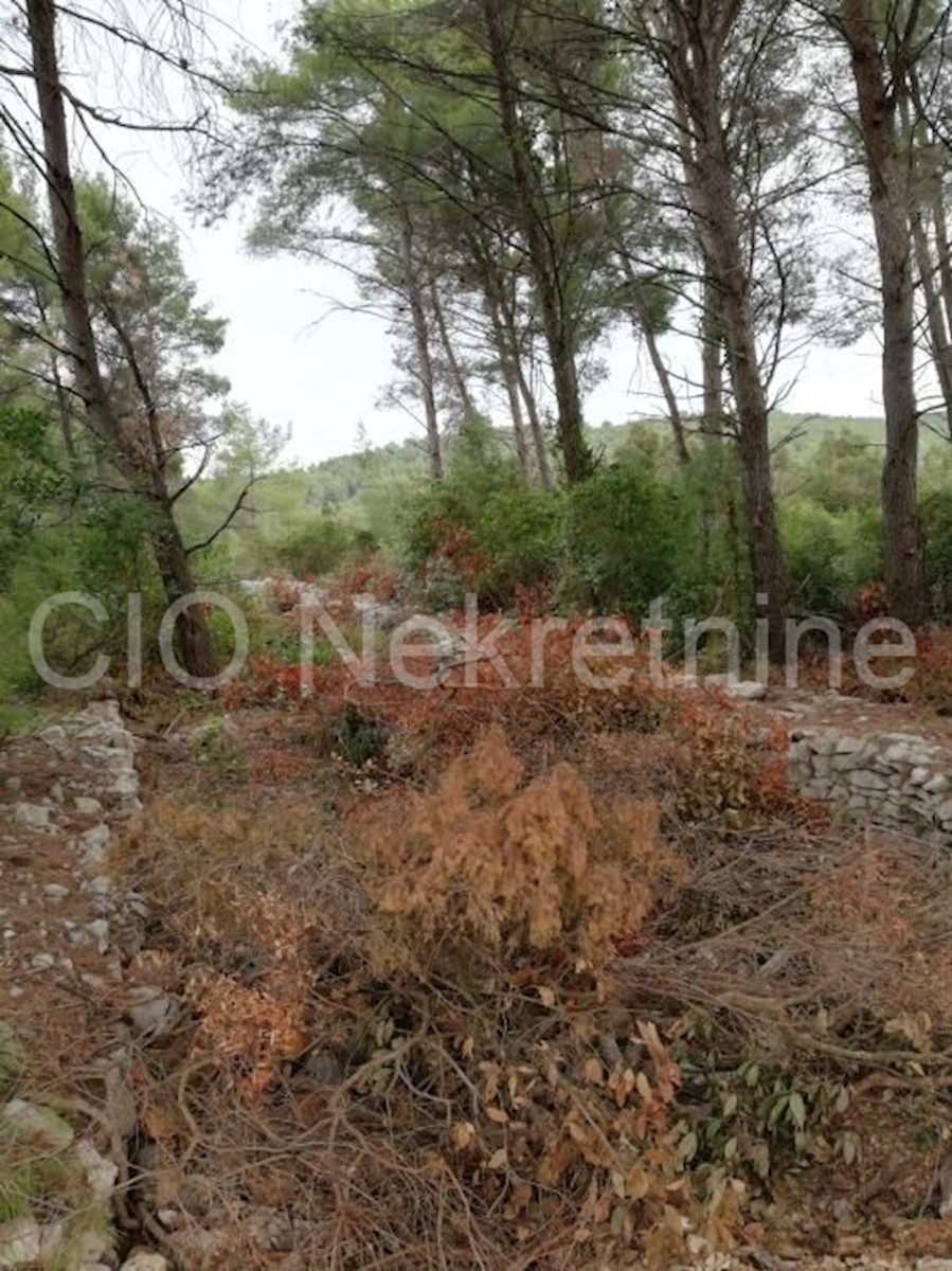 Korčula, Vela Luka, terreno edificabile di 2.400 m2 vicino al mare, in vendita