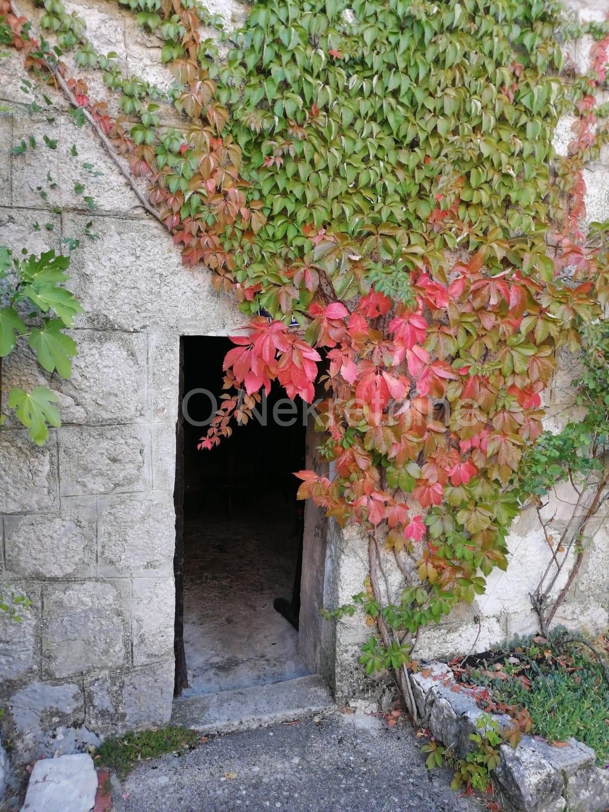 Imotski, Lovreć, casa indipendente in pietra con giardino, in vendita