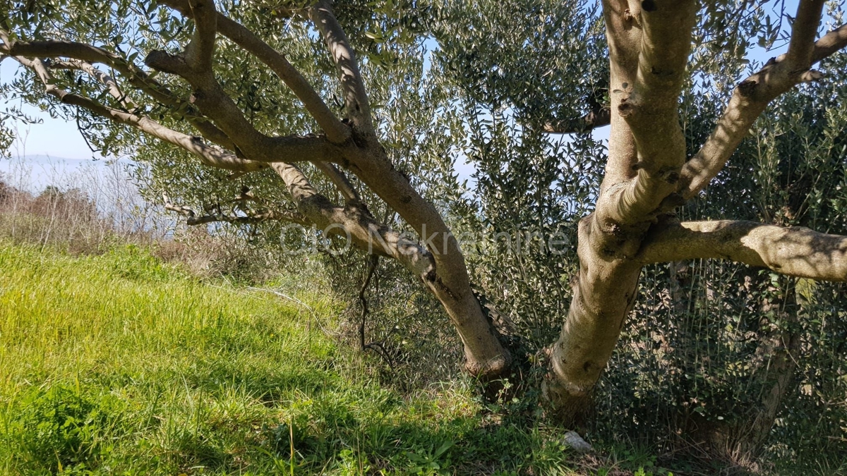 Podstrana, casa indipendente con piscina e vista, in vendita