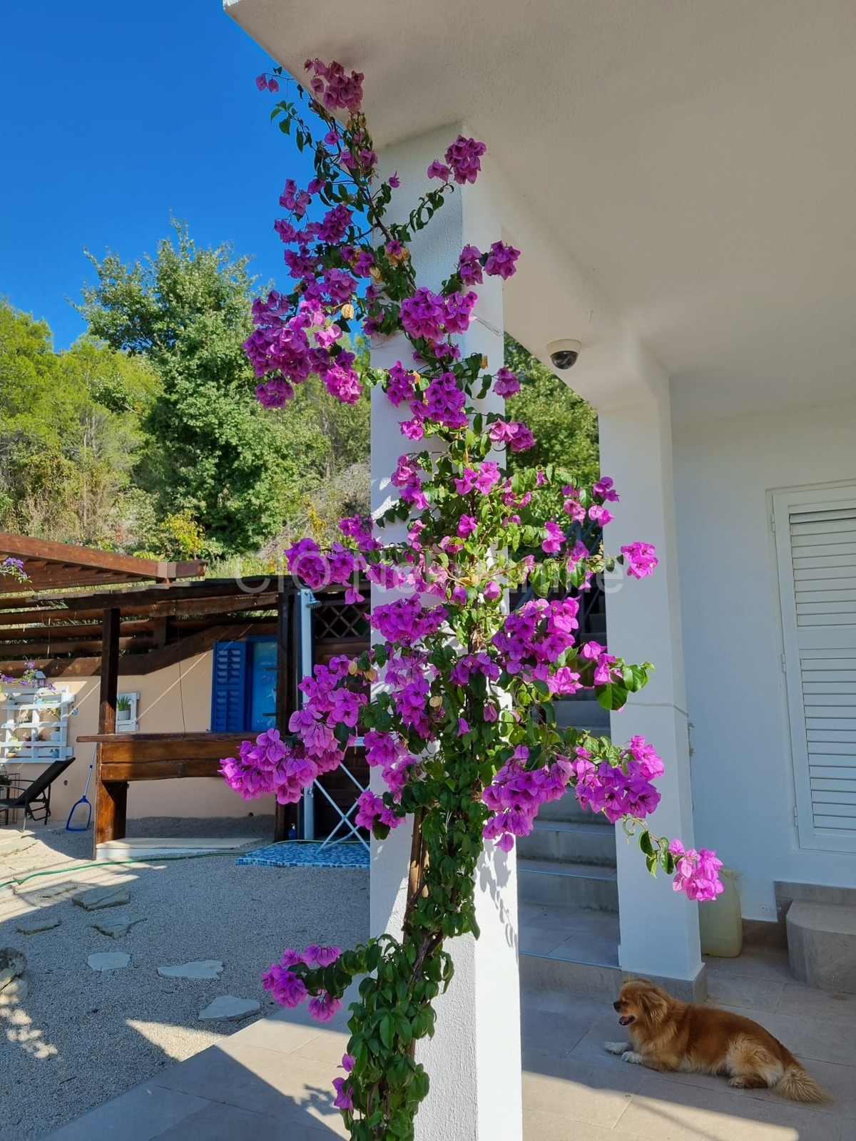 Podstrana, casa indipendente con piscina e vista, in vendita