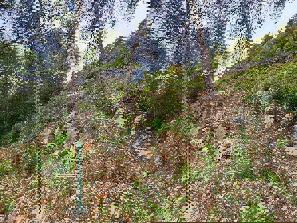 Solta, Rogač, terreno edificabile, in vendita