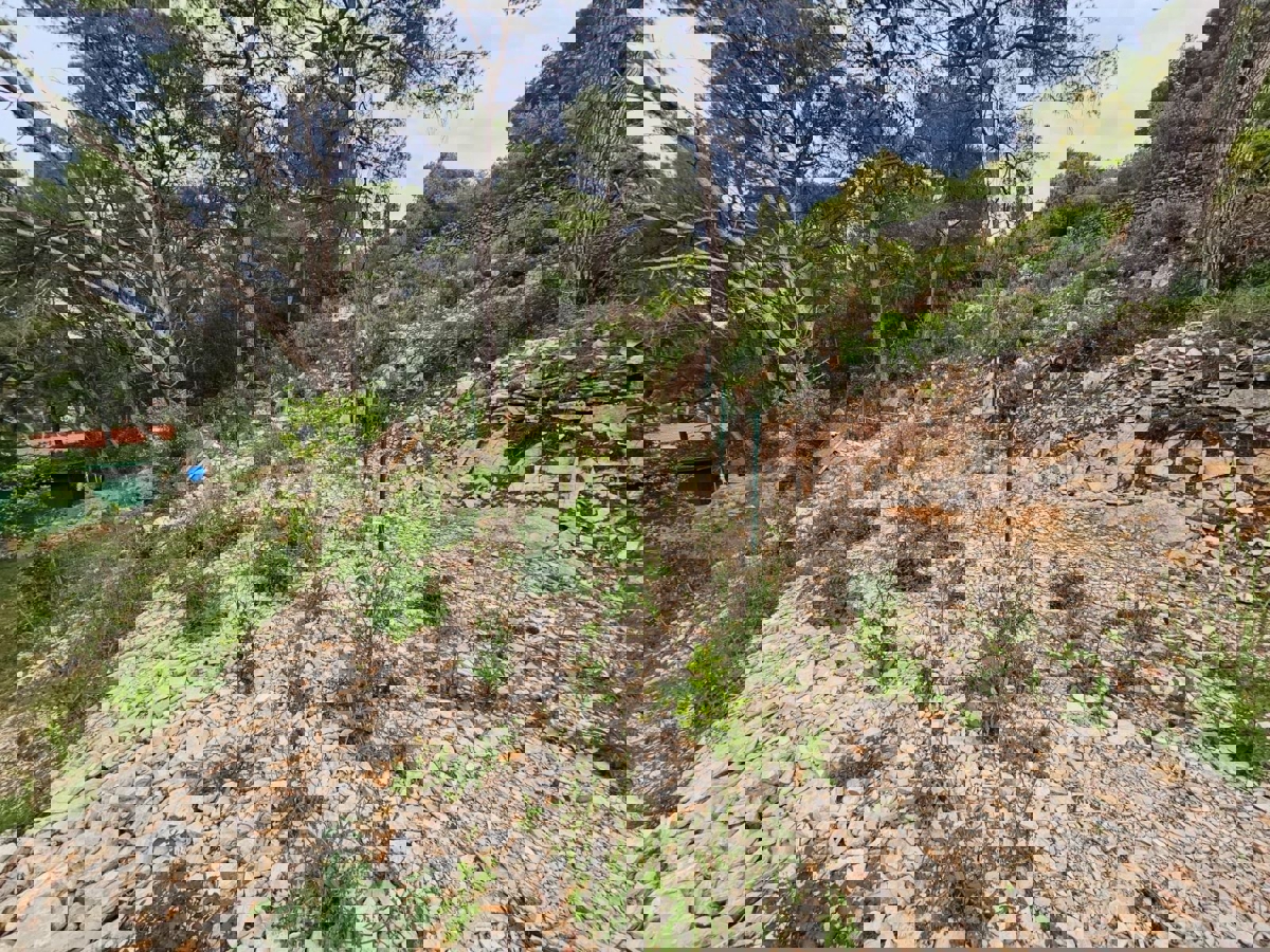 Solta, Rogač, terreno edificabile, in vendita