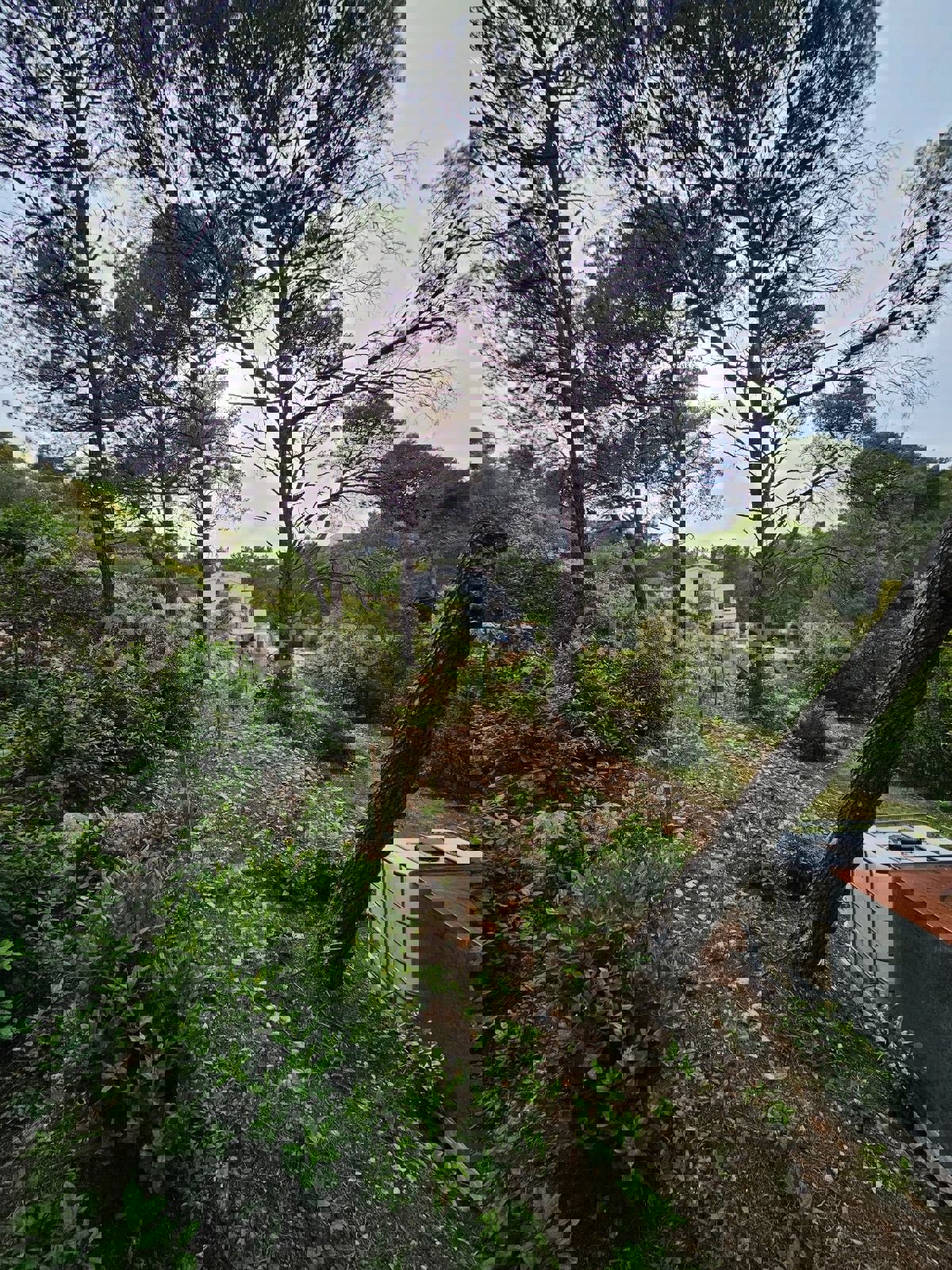 Solta, Rogač, terreno edificabile, in vendita