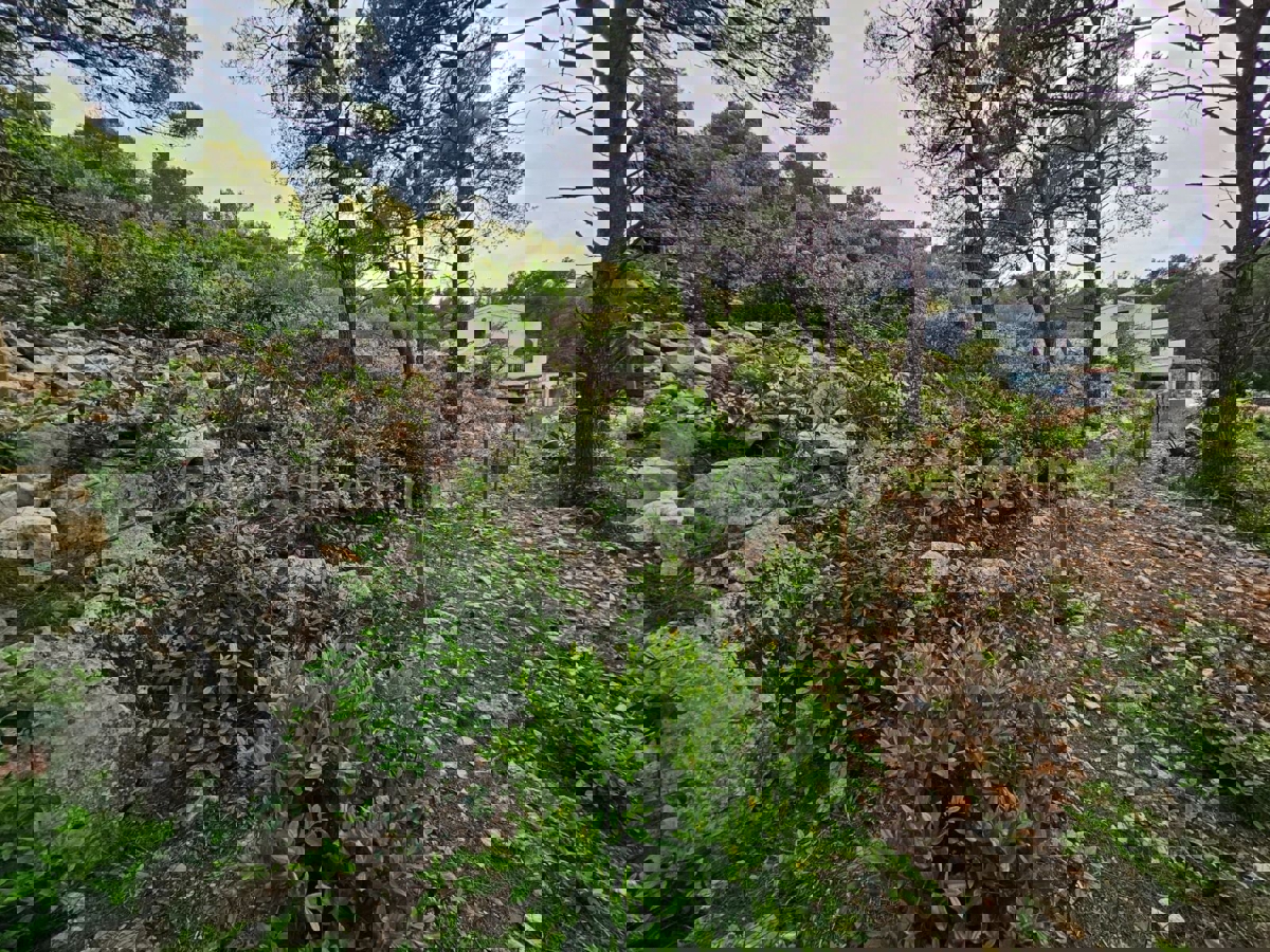 Solta, Rogač, terreno edificabile, in vendita