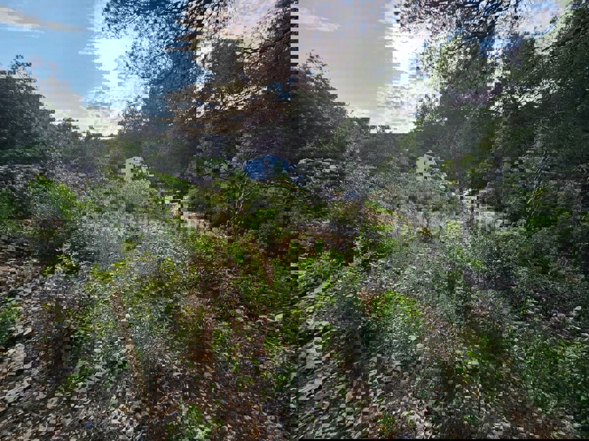 Solta, Rogač, terreno edificabile, in vendita