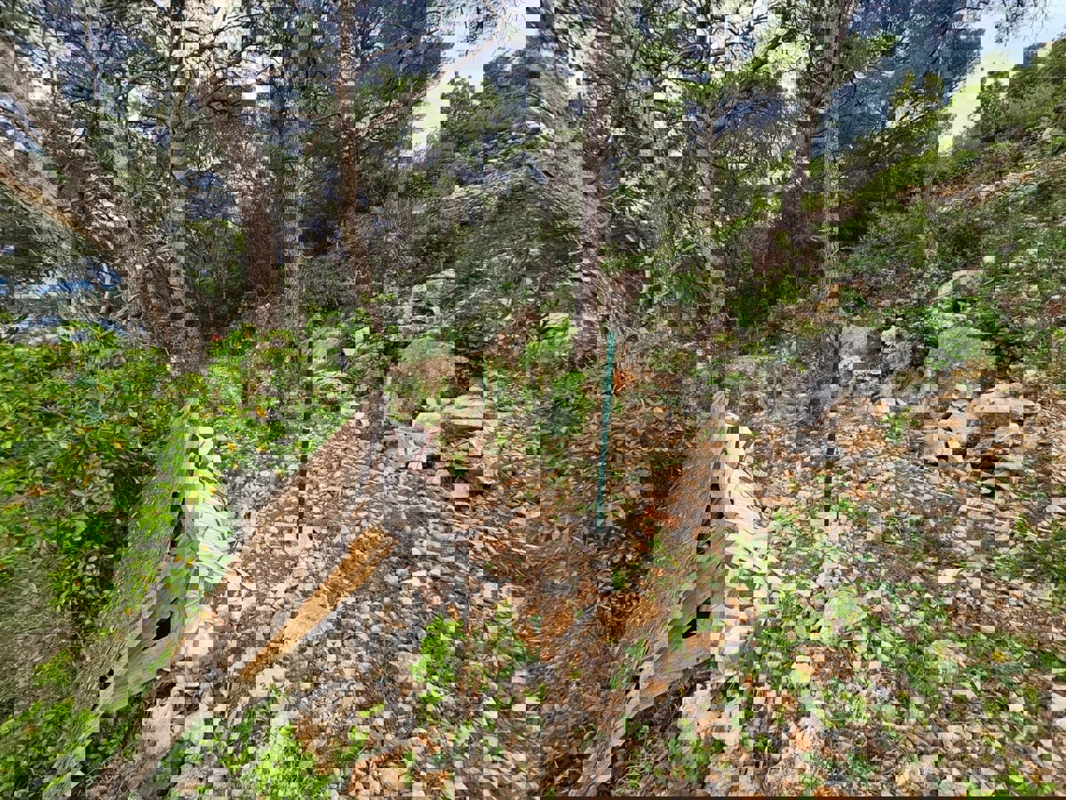 Solta, Rogač, terreno edificabile, in vendita