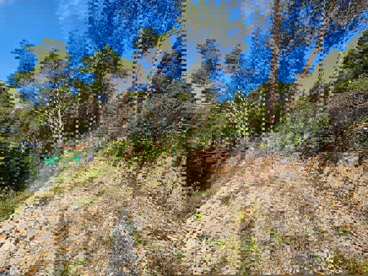 Solta, Rogač, terreno edificabile, in vendita