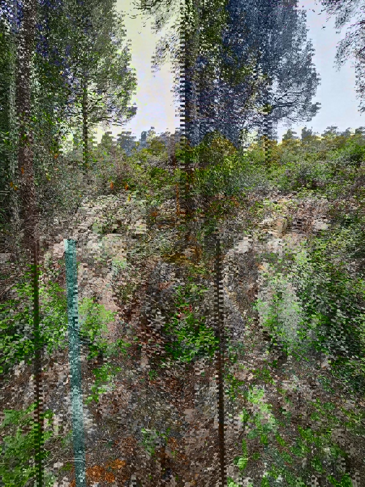 Solta, Rogač, terreno edificabile, in vendita