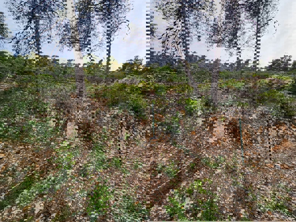 Solta, Rogač, terreno edificabile, in vendita