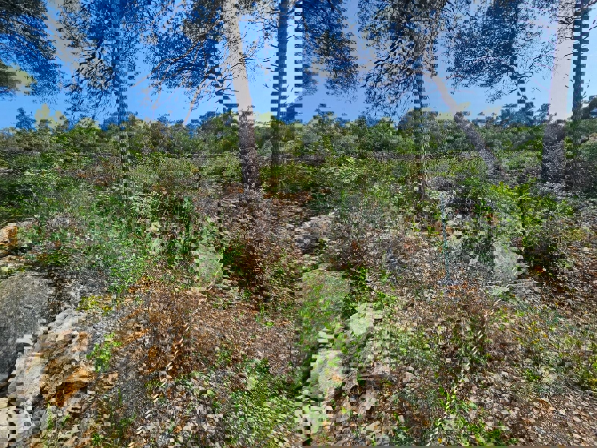 Solta, Rogač, terreno edificabile, in vendita