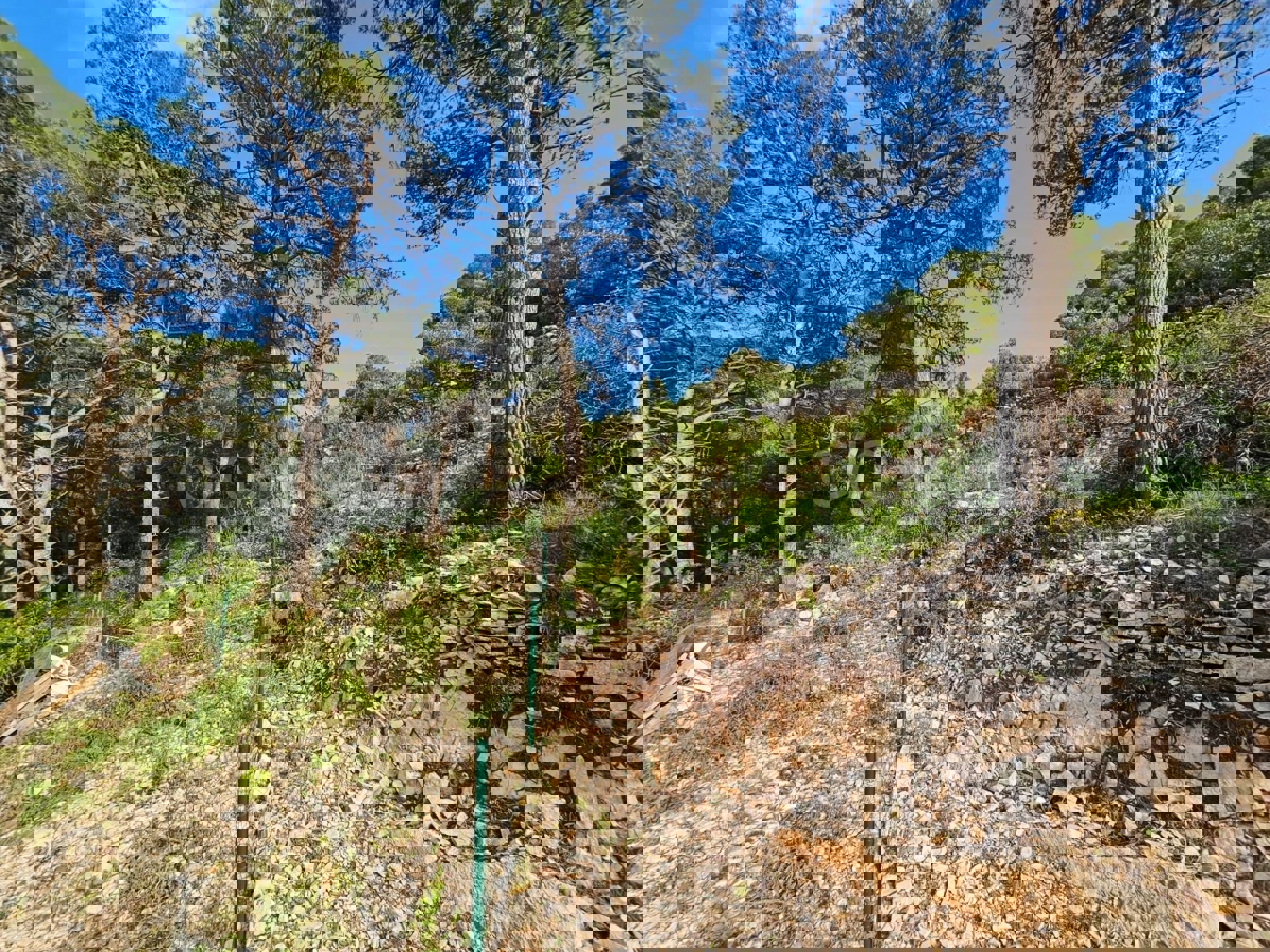 Solta, Rogač, terreno edificabile, in vendita