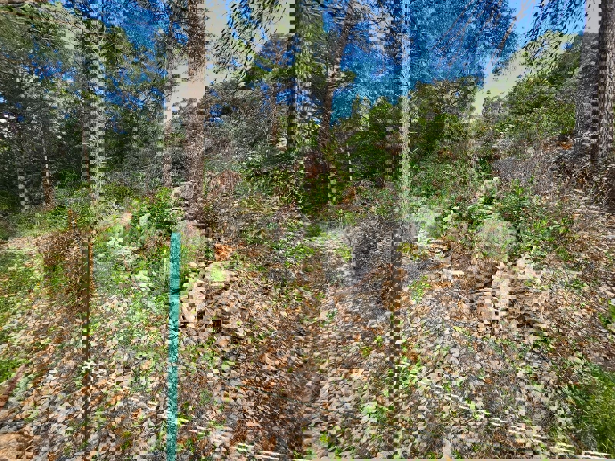 Solta, Rogač, terreno edificabile, in vendita