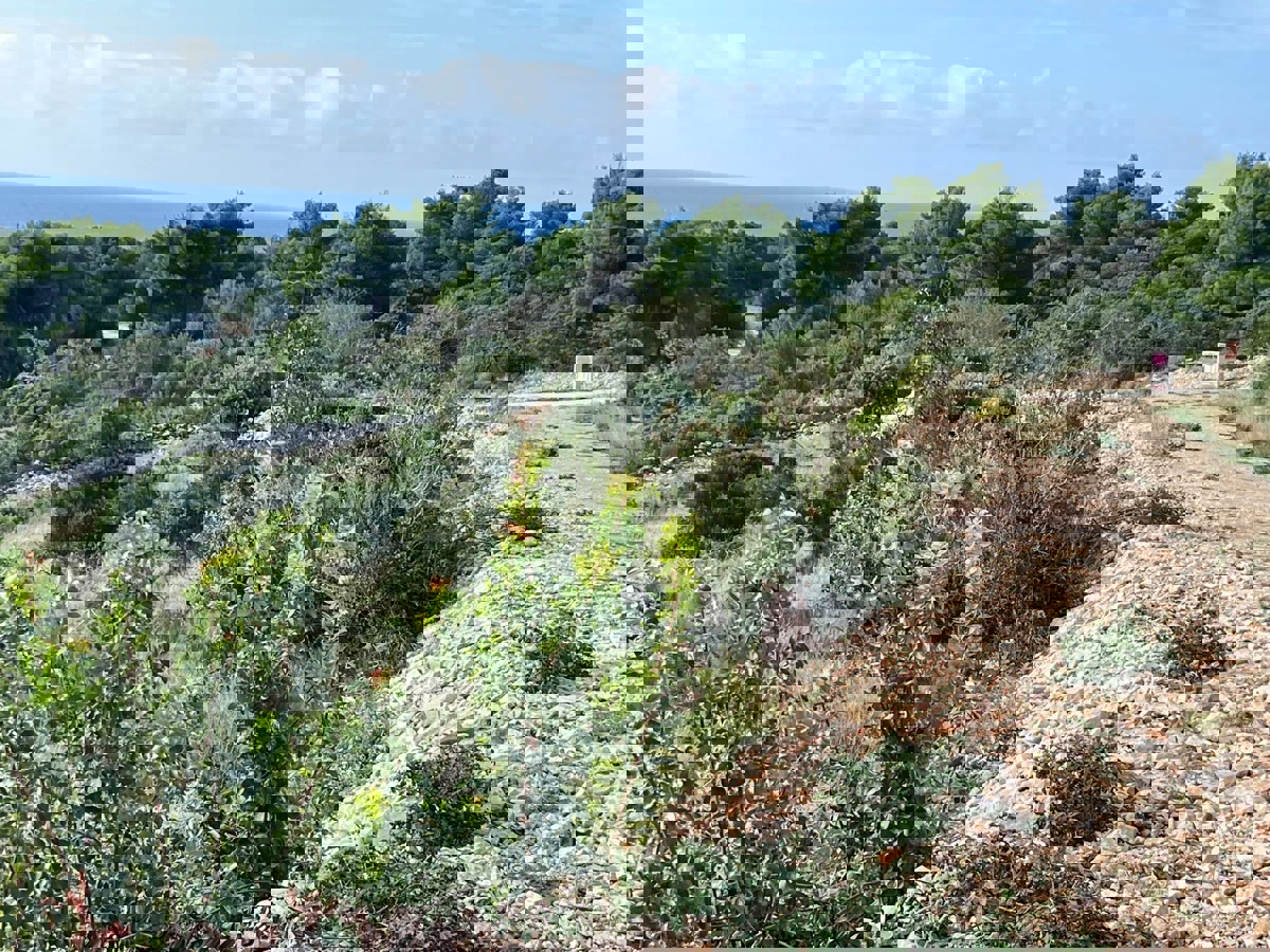 Rogoznica, Zečevo Rogozničko, ampio terreno edificabile