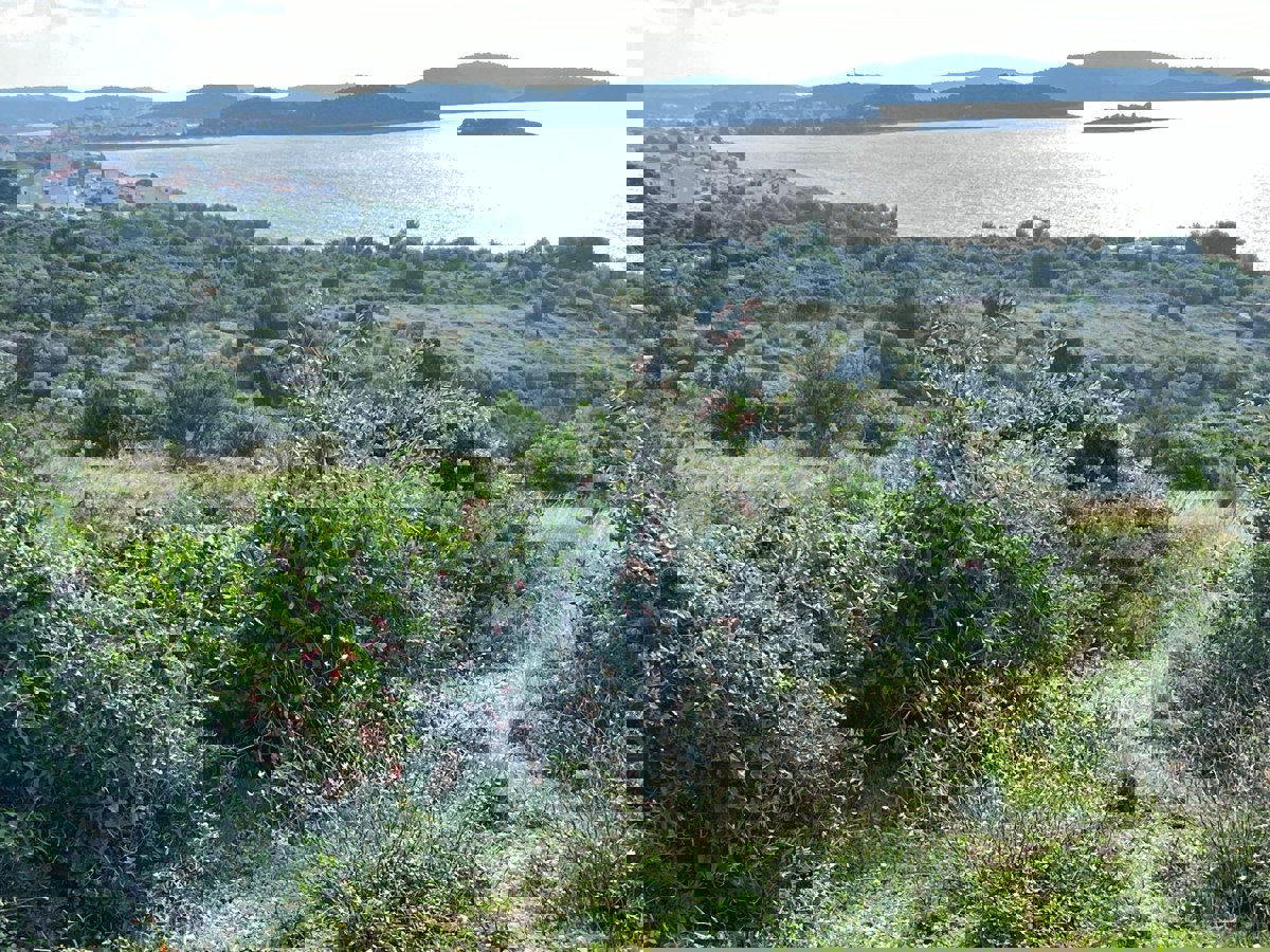 Rogoznica, Zečevo Rogozničko, ampio terreno edificabile