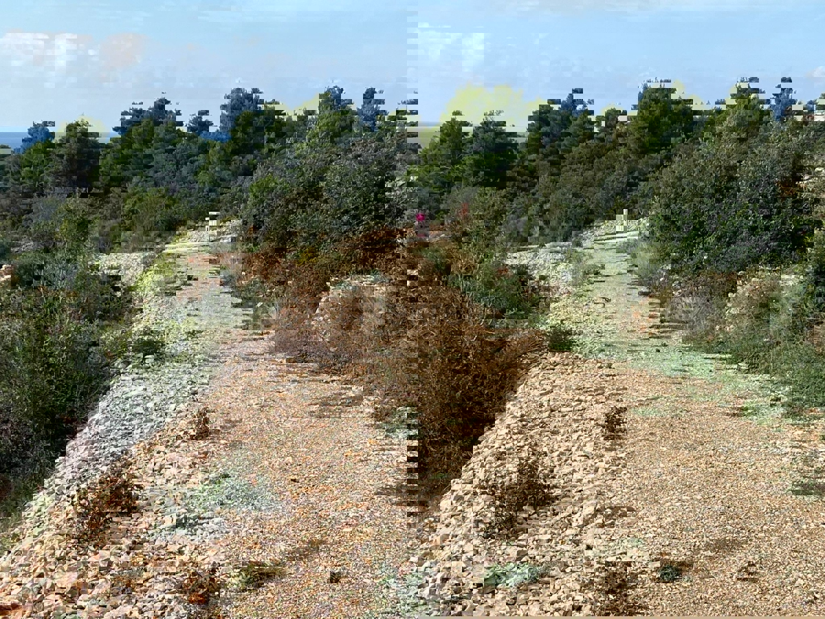 Rogoznica, Zečevo Rogozničko, ampio terreno edificabile