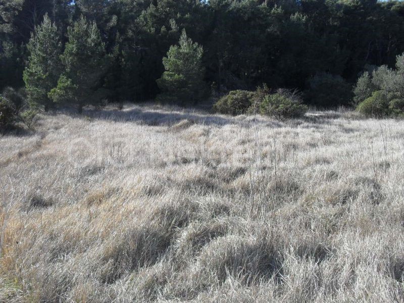 Makarska, terreno edificabile, 4000 m2, 8000 m2, in vendita