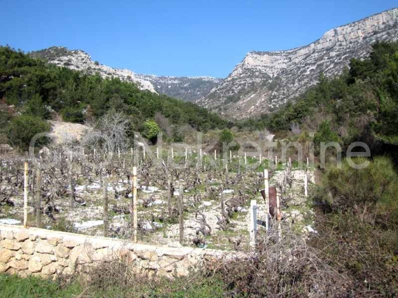 Brač, Bol, Terreno agricolo, vendita