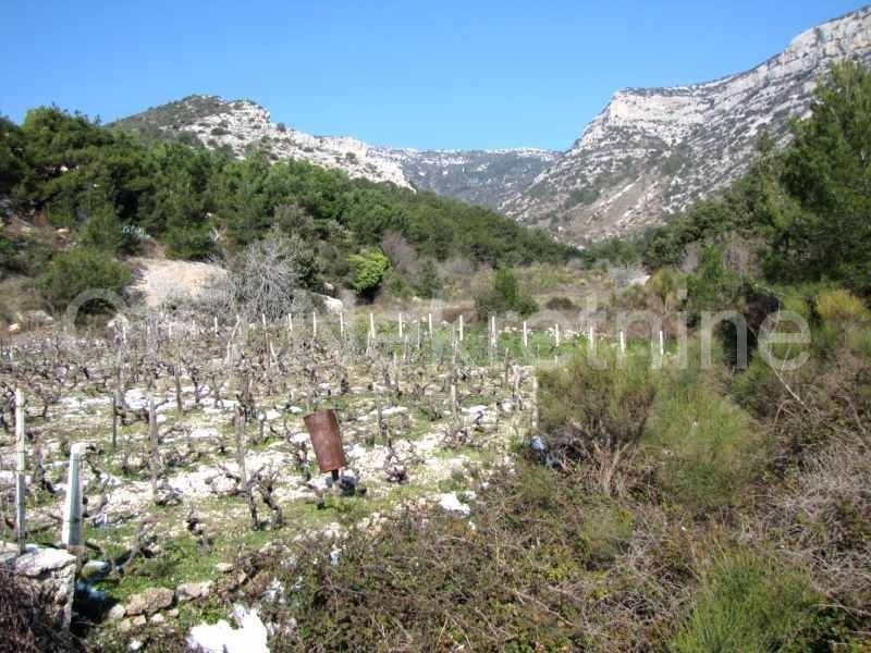 Brač, Bol, Terreno agricolo, vendita