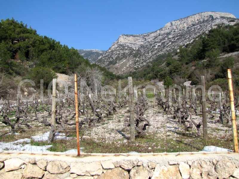 Brač, Bol, Terreno agricolo, vendita