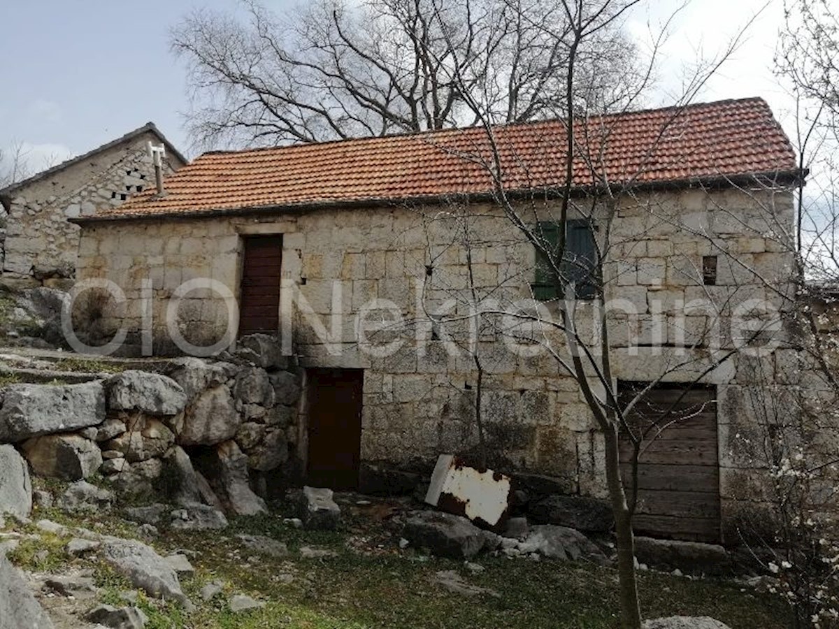 Dalmazia, Dugobabe, Fattoria, Case in pietra, Vendita