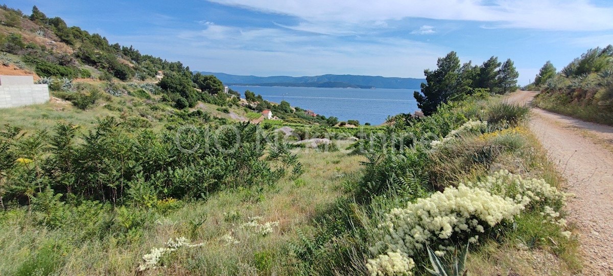 Brac. Nerežišće, terreno agricolo, vendita