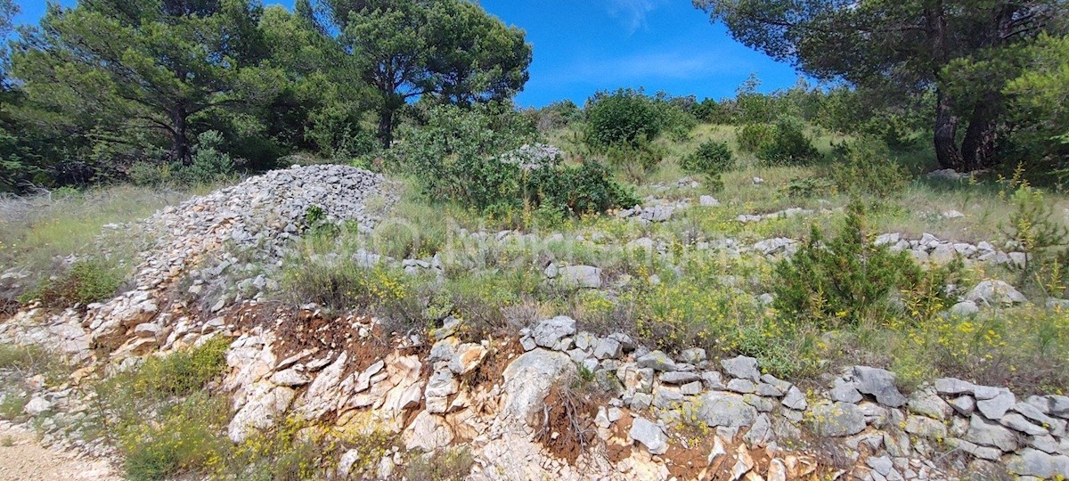 Brac. Bol, Terreno edificabile, 1417 m2, in vendita